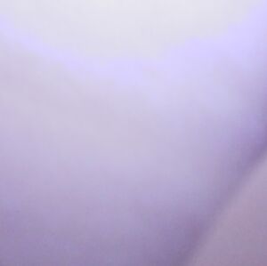 Beige.purse Stephen madden.